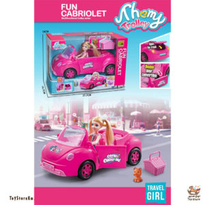 سيارة النزهة