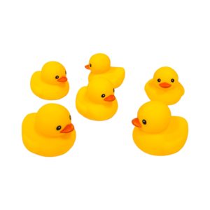 وصواص البطة